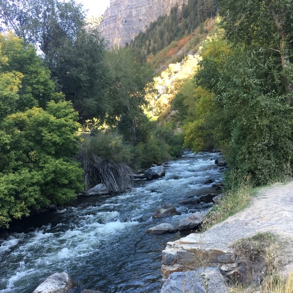 Meet your Posher, Joe - Picture 1 of 1